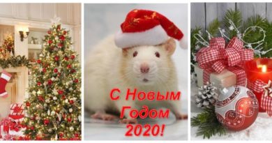 С Новым 2020 годом Белой Крысы!