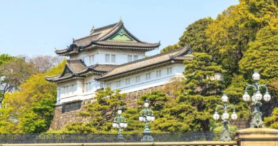 Мегалитическая кладка Императорского дворца в Токио.