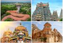 Уникальные храмы животных в Индии. Умеют индусы удивлять!