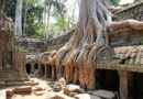 Королевство Камбоджа. Часть III. Храм Та-Пром. Гармония дерева и камня.
