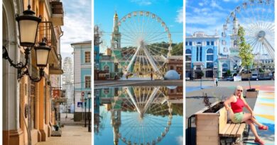 Пам’ятки Стародавнього Києва. Частина V. Поділ