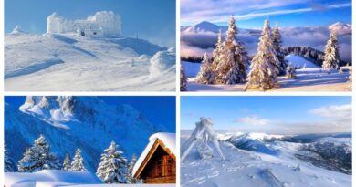 Карпатські різдвяні легенди та традиції.