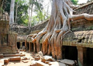 Ta-prom_Angkor_Cambodja