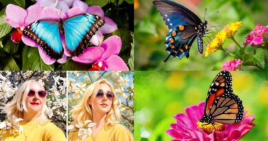 «Ефект метелика»